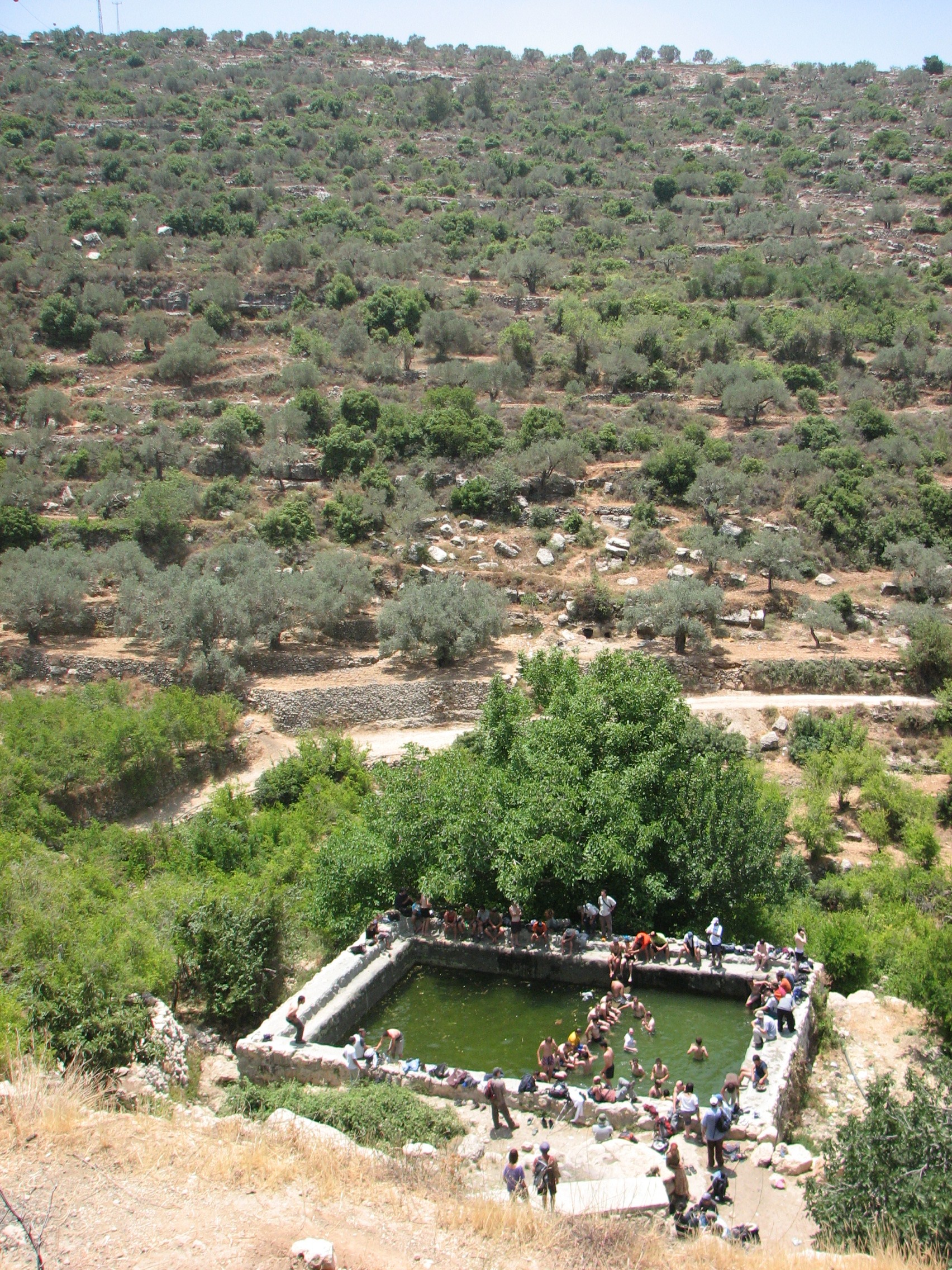 עין בובין (עין דני)